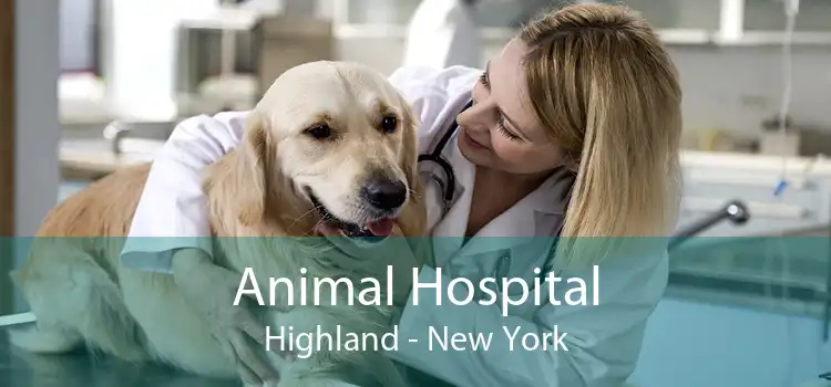 Animal Hospital Highland - New York