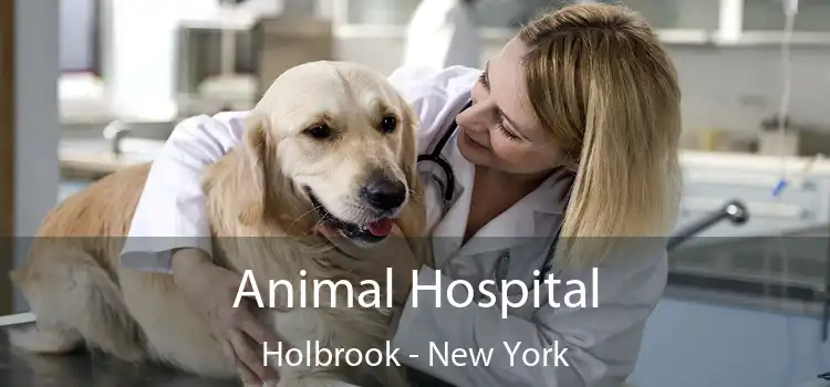 Animal Hospital Holbrook - New York