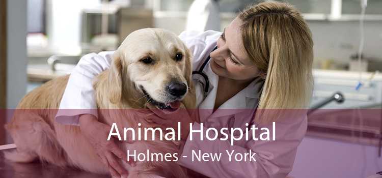 Animal Hospital Holmes - New York