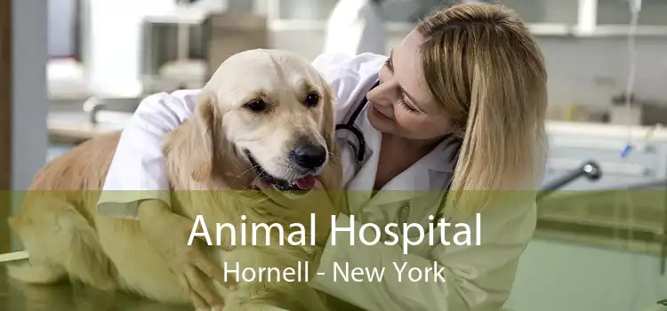Animal Hospital Hornell - New York