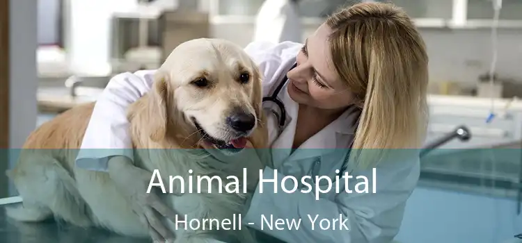 Animal Hospital Hornell - New York