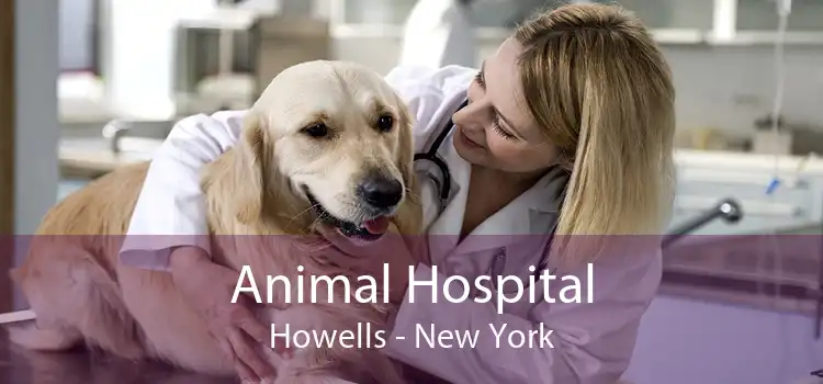 Animal Hospital Howells - New York