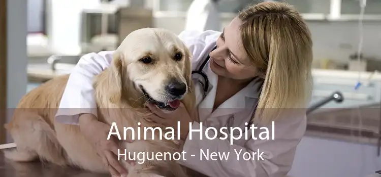 Animal Hospital Huguenot - New York