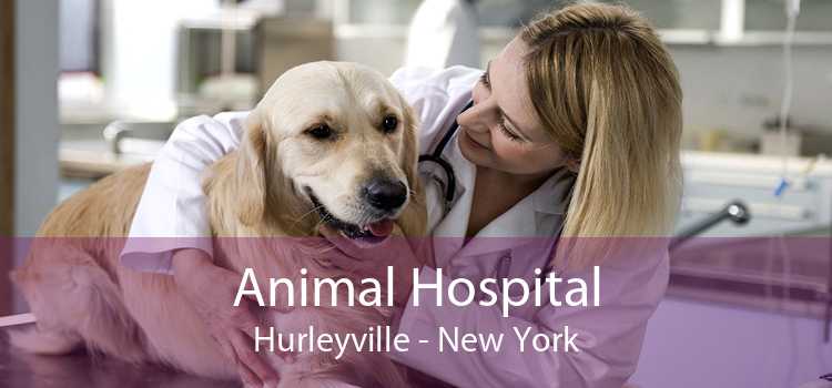 Animal Hospital Hurleyville - New York