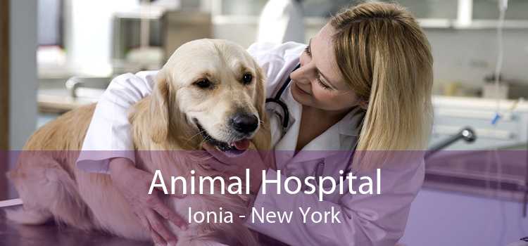Animal Hospital Ionia - New York