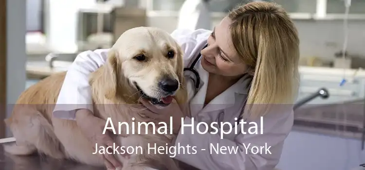 Animal Hospital Jackson Heights - New York