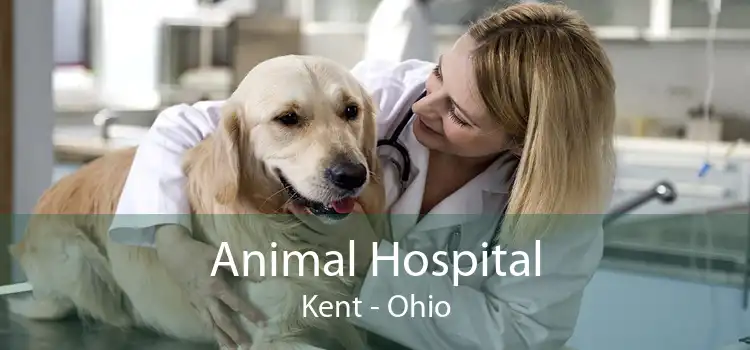 Animal Hospital Kent - Ohio