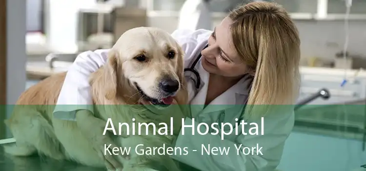 Animal Hospital Kew Gardens - New York
