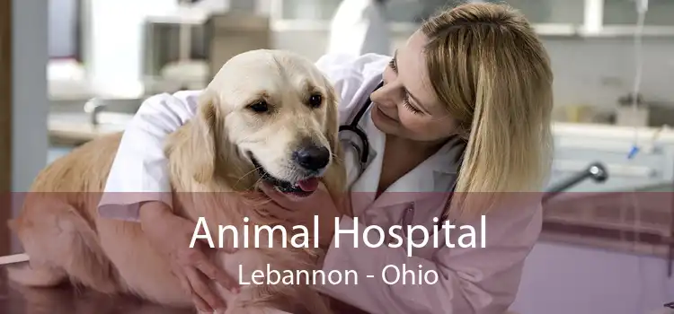 Animal Hospital Lebannon - Ohio