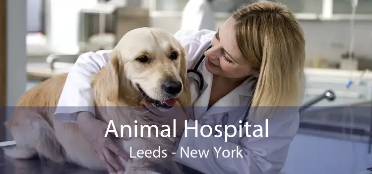 Animal Hospital Leeds - New York