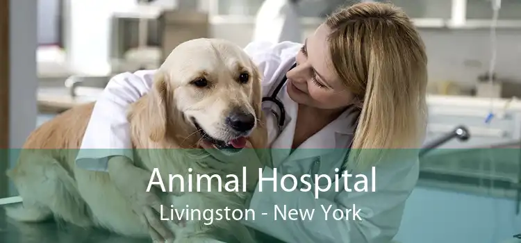 Animal Hospital Livingston - New York