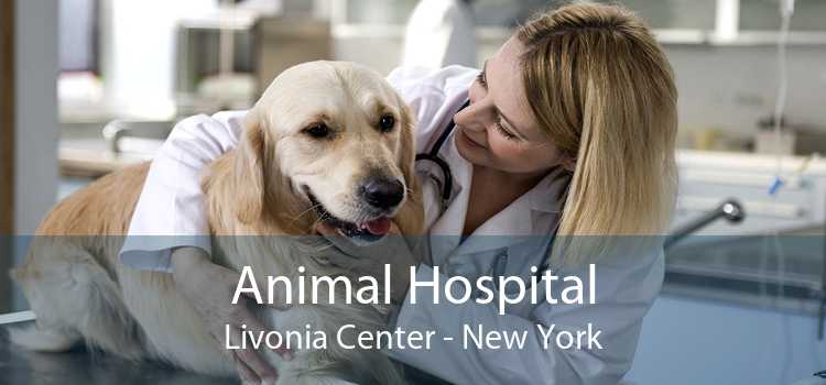 Animal Hospital Livonia Center - New York
