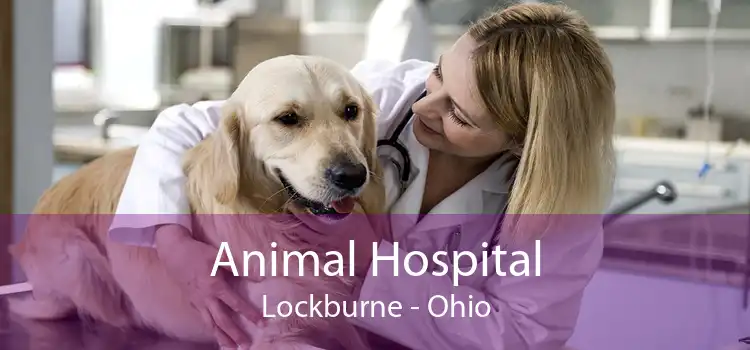 Animal Hospital Lockburne - Ohio