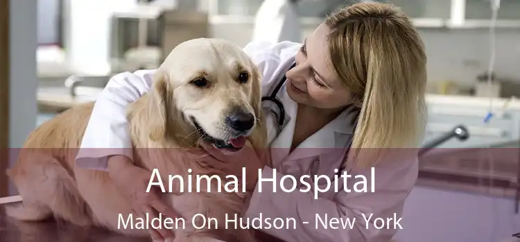 Animal Hospital Malden On Hudson - New York