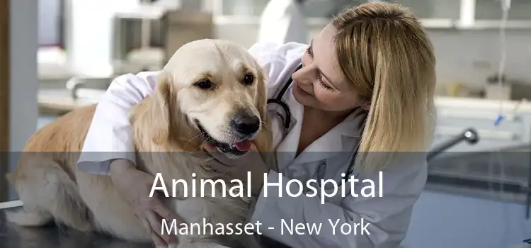 Animal Hospital Manhasset - New York