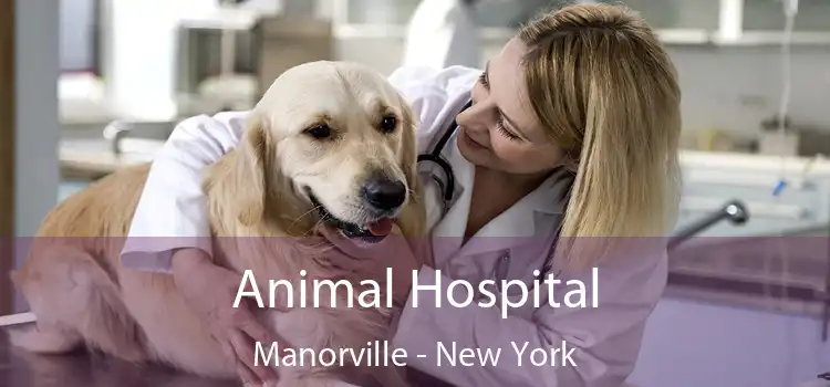 Animal Hospital Manorville - New York
