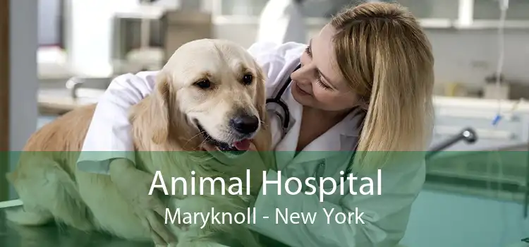 Animal Hospital Maryknoll - New York