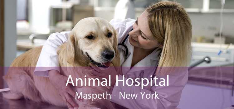 Animal Hospital Maspeth - New York