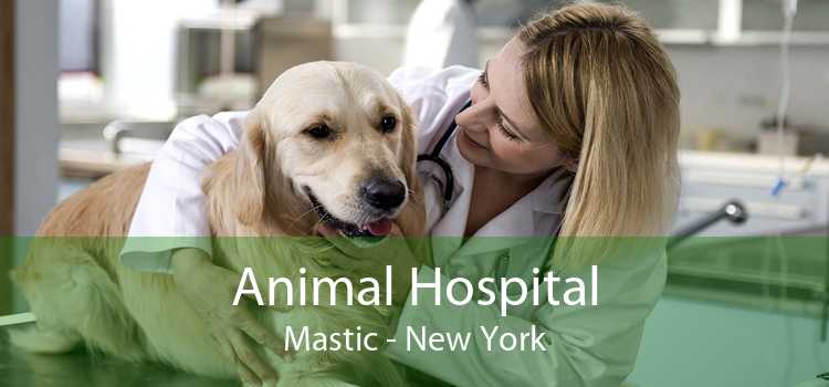 Animal Hospital Mastic - New York