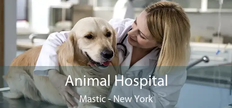 Animal Hospital Mastic - New York