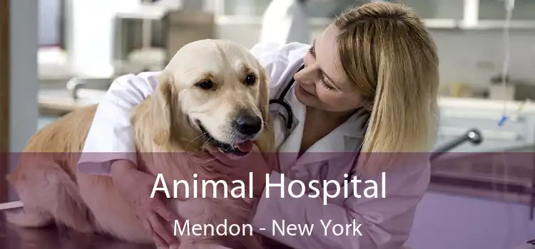Animal Hospital Mendon - New York