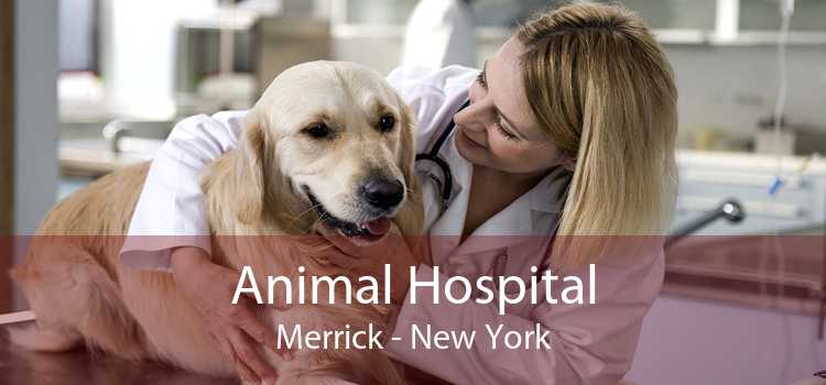 Animal Hospital Merrick - New York