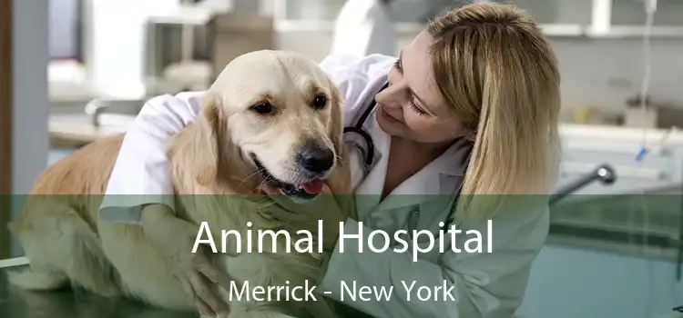 Animal Hospital Merrick - New York