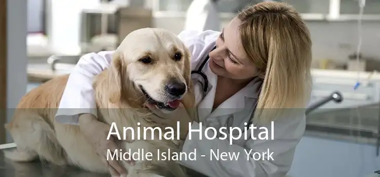 Animal Hospital Middle Island - New York