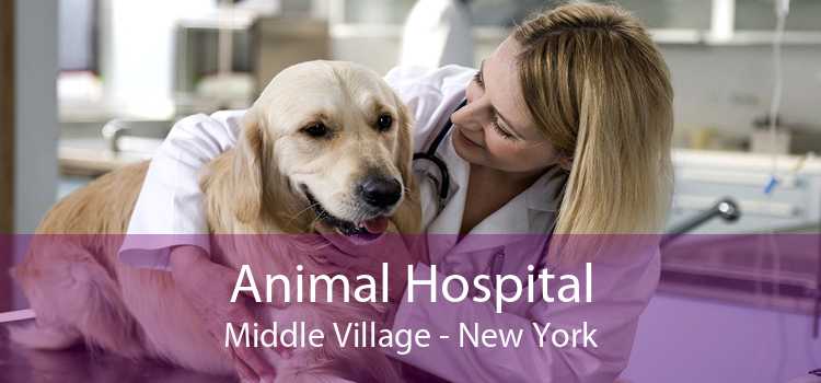 Animal Hospital Middle Village - New York