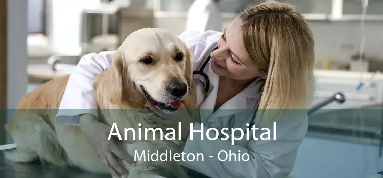 Animal Hospital Middleton - Ohio