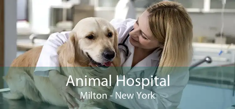 Animal Hospital Milton - New York