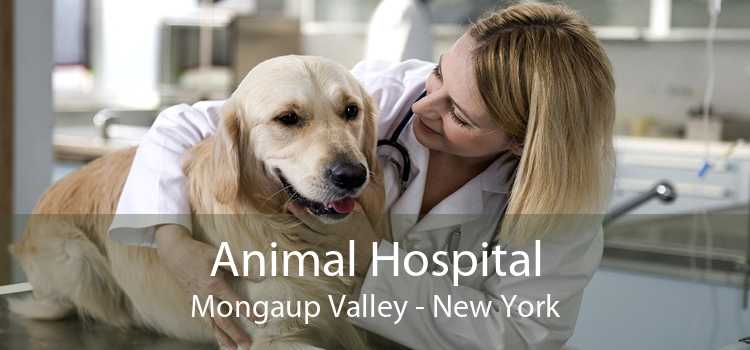 Animal Hospital Mongaup Valley - New York
