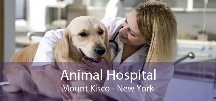 Animal Hospital Mount Kisco - New York