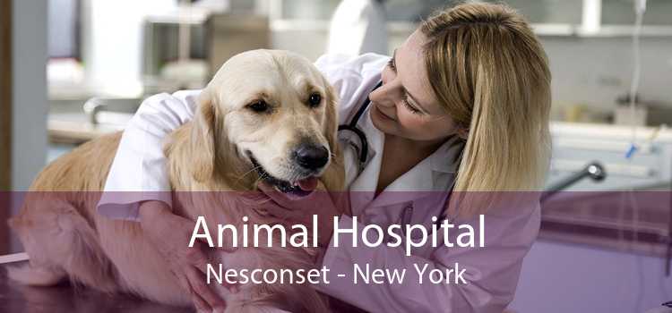 Animal Hospital Nesconset - New York