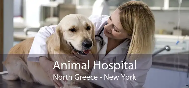 Animal Hospital North Greece - New York