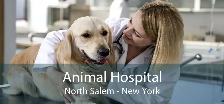 Animal Hospital North Salem - New York