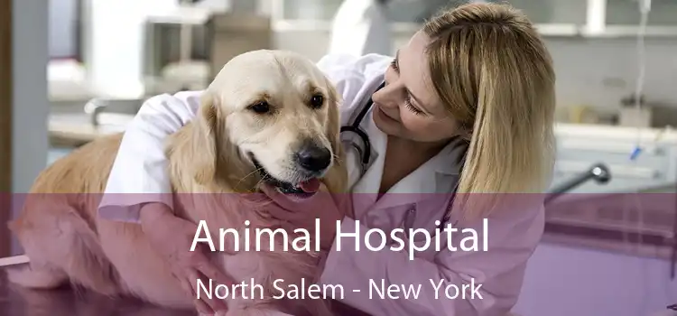 Animal Hospital North Salem - New York