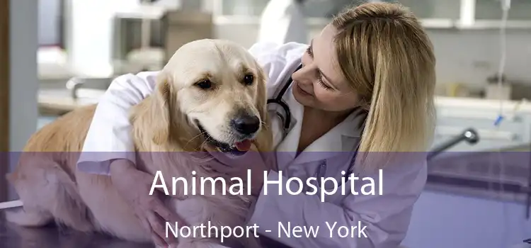 Animal Hospital Northport - New York