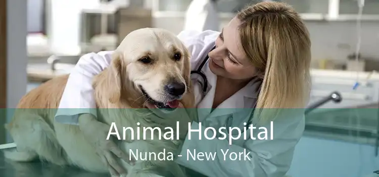 Animal Hospital Nunda - New York