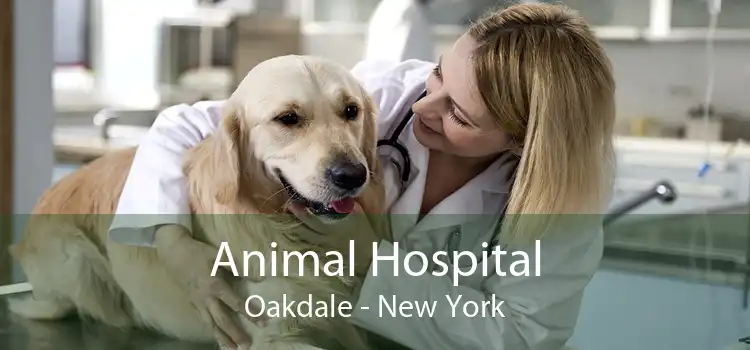 Animal Hospital Oakdale - New York