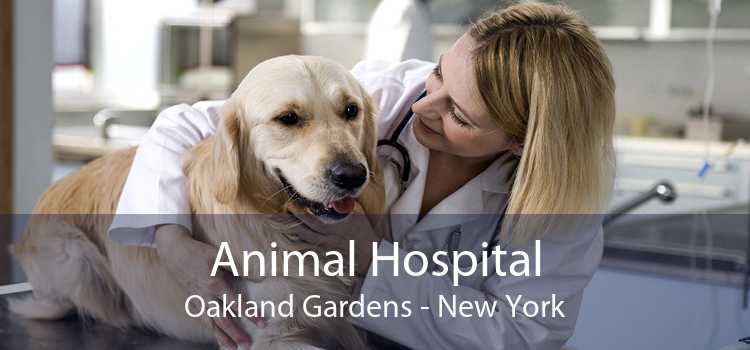 Animal Hospital Oakland Gardens - New York