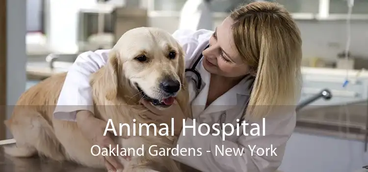 Animal Hospital Oakland Gardens - New York