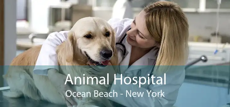 Animal Hospital Ocean Beach - New York
