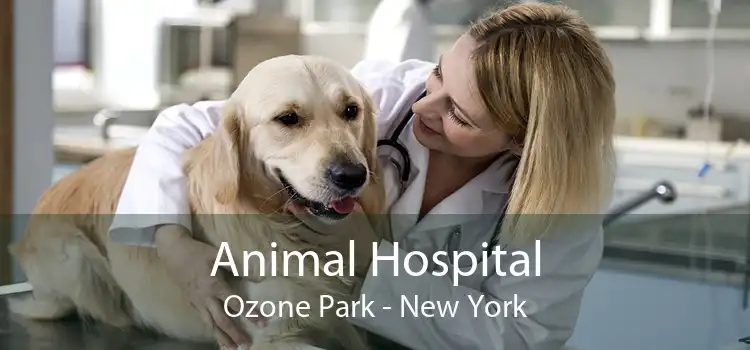 Animal Hospital Ozone Park - New York