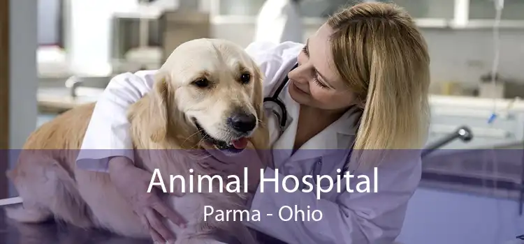 Animal Hospital Parma - Ohio