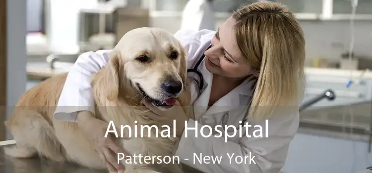 Animal Hospital Patterson - New York