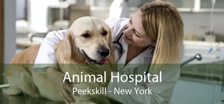 Animal Hospital Peekskill - New York