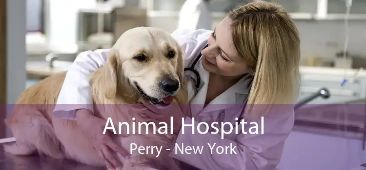 Animal Hospital Perry - New York