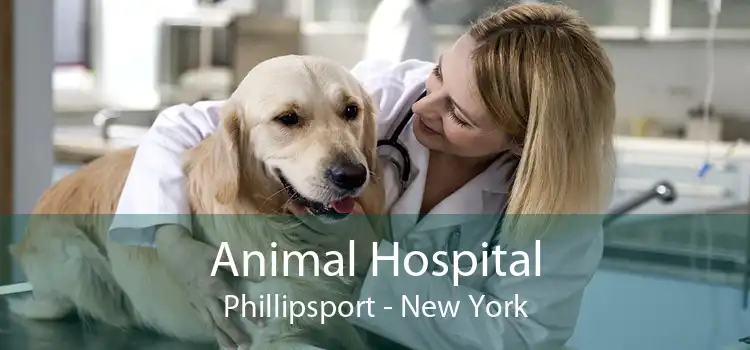 Animal Hospital Phillipsport - New York