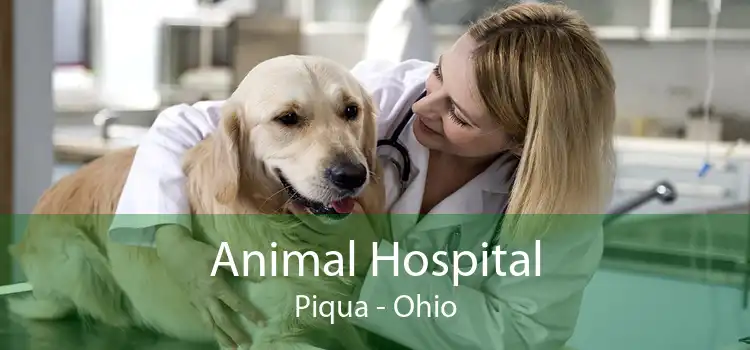 Animal Hospital Piqua - Ohio